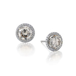 14kt w/g Diamond Stud Earings. 2 x 3.35 Tw  with Halo of Diamonds.